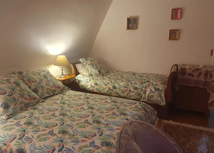 Hôtel pour familles: La Romantique