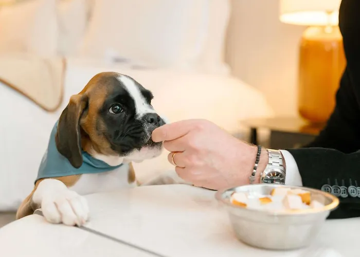 5 sterren hotel: Sofitel Le Scribe Paris Opera